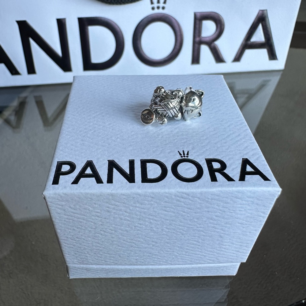 Pandora kitten with yarn charm